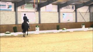 M Dressur auf der Reitanlage Nabben M6 [upl. by Amorette]