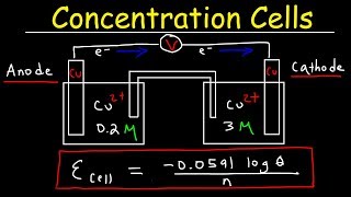 Concentration Cells amp Cell Potential Calculations  Electrochemistry [upl. by Scarito50]