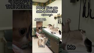 CAT MEMES 🏥 TO THE DOCTOR EP5 relatable cat catlover catvideos shorts [upl. by Acirfa487]