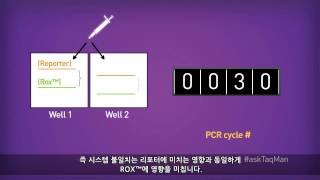 Ask TaqMan ® Ep 7 RealTime PCR에서ROX™ 의 목적 [upl. by Nnylg]