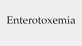 How to Pronounce Enterotoxemia [upl. by Nahaj]