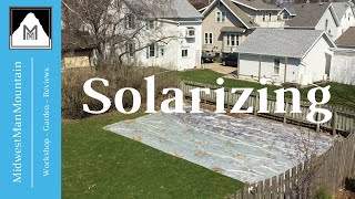 How to Solarize Your Garden for Weed Prevention [upl. by Allekim]