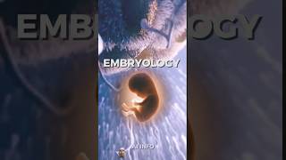 Embryology in Quran Secrets of Quran shorts embryology science islam quran trending viral [upl. by Davita605]