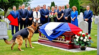 Le Chien Aboie Furieusement Devant le Cercueil de son Maître Quand Ils lOuvrent la Foule Crie [upl. by Raamaj948]