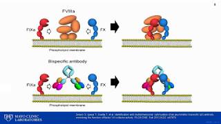 Chromogenic Factor VIII and IX Assays Impact on Diagnosis and Management of Hemophilia [upl. by Kung650]