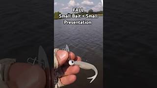 The Willow Vibe fishing bassfishing fallfishing fishingtips bigfish bamabass [upl. by Yentrok377]