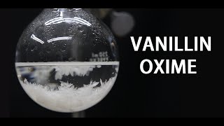 Making Vanillin Oxime Capsaicin precursor [upl. by Gerty130]