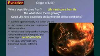 Evolution Part 5 Origin of Life [upl. by Aerdnwahs869]