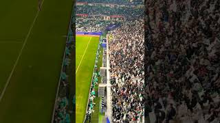 Al Bayt stadiumasiancup2023 OoAATTnhnazmul43 foryou fastdohagatar vairalvideo tiktokcreators [upl. by Neomah]