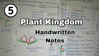 Plant Kingdom Part  5  Gymnosperms  Angiosperms  NEET  NCERT  Class 11th  Biology neet2024 [upl. by Anialem]