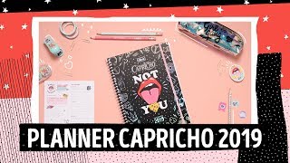 PLANNER CAPRICHO 2019 [upl. by Tildi]