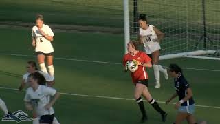 Highlights WSOC Longwood vs Liberty [upl. by Crosse]