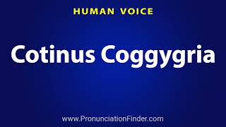 How To Pronounce Cotinus Coggygria [upl. by Bettzel]