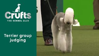 Group Judging Terrier and Presentation  Crufts 2023 [upl. by Aidnyl]