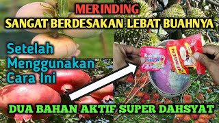 Sampai Berdesakan Lebat Buahnya Setelah Menggunakan Cara Ini  Benar Benar Super Turbo‼️ [upl. by Nakashima97]