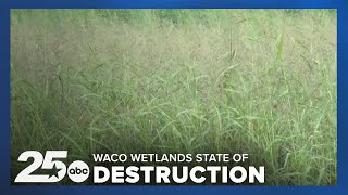 Lake Waco Wetlands in state of destruction as the area celebrates its 20th anniversary [upl. by Nilok]