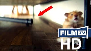 VERONICA FERRES SAUGT HAMSTER MIT DEM STAUBSAUGER EIN Trailer German Deutsch 2017 HD [upl. by Accever]