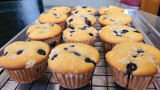 Blueberry Muffins recipe video  Simple and quick breakfast item [upl. by Leuqim]