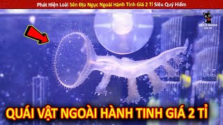 Phát Hiện Loài Sên Địa Ngục Ngoài Hành Tinh Giá 2 Tỉ Siêu Quý Hiếm  Review Giải Trí Đời Sống [upl. by Vig777]