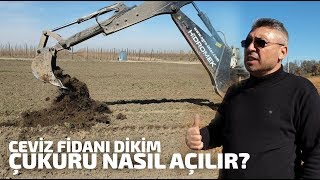 Ceviz Fidanı Dikerken Nasıl Çukur Açılır [upl. by Farly]