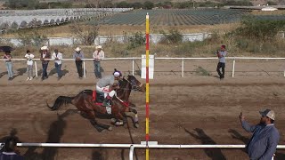 19 Carril Copalita zapopan  jal [upl. by Ahsinoj]