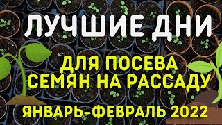 ЛУННЫЙ ПОСЕВНОЙ КАЛЕНДАРЬ январьфевраль 2022 Когда сеять на рассаду  лучшие дни [upl. by Mayrim]