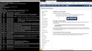 Bamboo Remote Agent Installation  Tutorial [upl. by Guilbert]