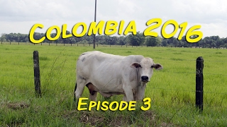 Colombia 2016  Episode 3 [upl. by Aniloj382]