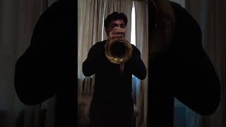 Paris Couesnon flugelhorn [upl. by Retxed]