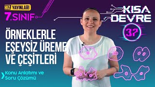 Eşeysiz Üreme Konu Anlatımı Test Çözümü Özellikleri ve Çeşitleri 7 Sınıf Fen Bilimleri 37 [upl. by Guise]