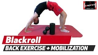 BLACKROLL  Just awesome to EASE BACK PAIN [upl. by Eelreveb957]