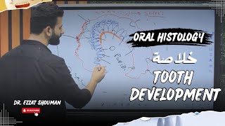 tooth development كامل  oral histology  عزت شومان [upl. by Sexela]