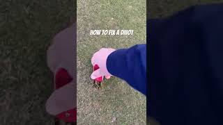 How to fix a divot 🤨 trending golf fypシ゚ viralshort [upl. by Anoek]