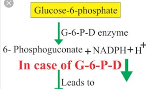 Glucose 6 Phosphate Deficiency Pharmacogenetics Hemolytic AnaemiaPrimaquine Chloroquine [upl. by Leamsi]