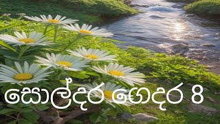 සොල්දර ගෙදර 8 [upl. by Airotna]