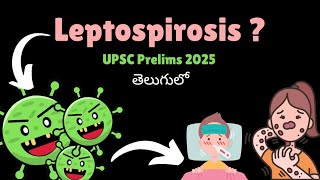 Leptospirosis l Bacteria l UPSC l TGPSC l తెలుగులో [upl. by Davie]