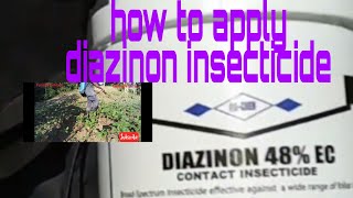 how to apply diazinon insecticides [upl. by Ynnohj688]