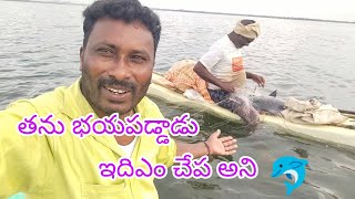 ఇతను భయపడ్డాడు ఏం చేప అని yatala shankar vlogs 🐬యాటల శంకర్ వీడియో🐬 [upl. by Drusilla]