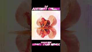 DJ Antonio Cruise Feat Megan Thee Stallion and Yuki Chiba  Mamushi Snake Eyes Remix [upl. by Nim]