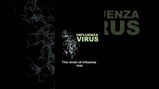 The Great Influenza Epidemic dailyfacts interestingfacts facts shorts [upl. by Sivie]