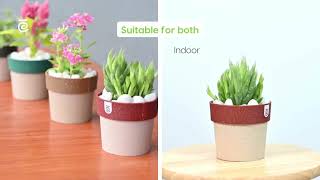 Eha Ecopod Tabletop Planter [upl. by Melania]