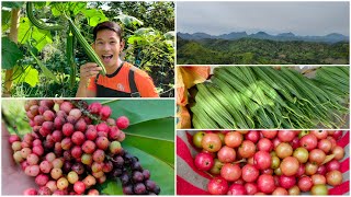 Farm Gala 🥰🌱 Batiawan Subic Zambales 🌄 [upl. by Nicodemus]