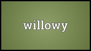 Willowy Meaning [upl. by Capps452]