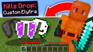 Minecraft Manhunt But Kills Give Custom Elytra [upl. by Gareri]