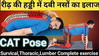 कमरकूल्हे गर्दन में दबी दबी नशे खोलने का एक योगासनSciaticaSurvical Pain Relief ExercisesCAT Pose [upl. by Rabka]