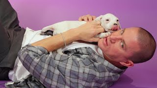 Channing Tatum The Puppy Interview [upl. by Ylrae6]