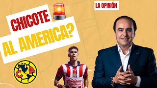 CHICOTE CALDERÓN al AMÉRICA  LO ÚLTIMO EN EL FÚTBOL DE ESTUFA  OPINIÓN DAVID MEDRANO [upl. by Rahmann747]