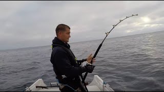 Two Bluefin Tuna Caught Solo on a 16ft Boat in the UK  Cornwall Sea Fishing  The Fish Locker [upl. by Lashonda]