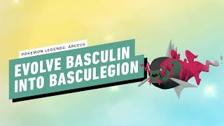 Pokemon Legends Arceus  How To Evolve Basculin Into Basculegion [upl. by Aerdnad241]