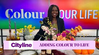 How to incorporate colour into your daily life [upl. by Robinia797]